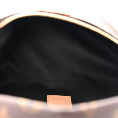 Louis Vuitton Monogram Bumbag 5 of 9