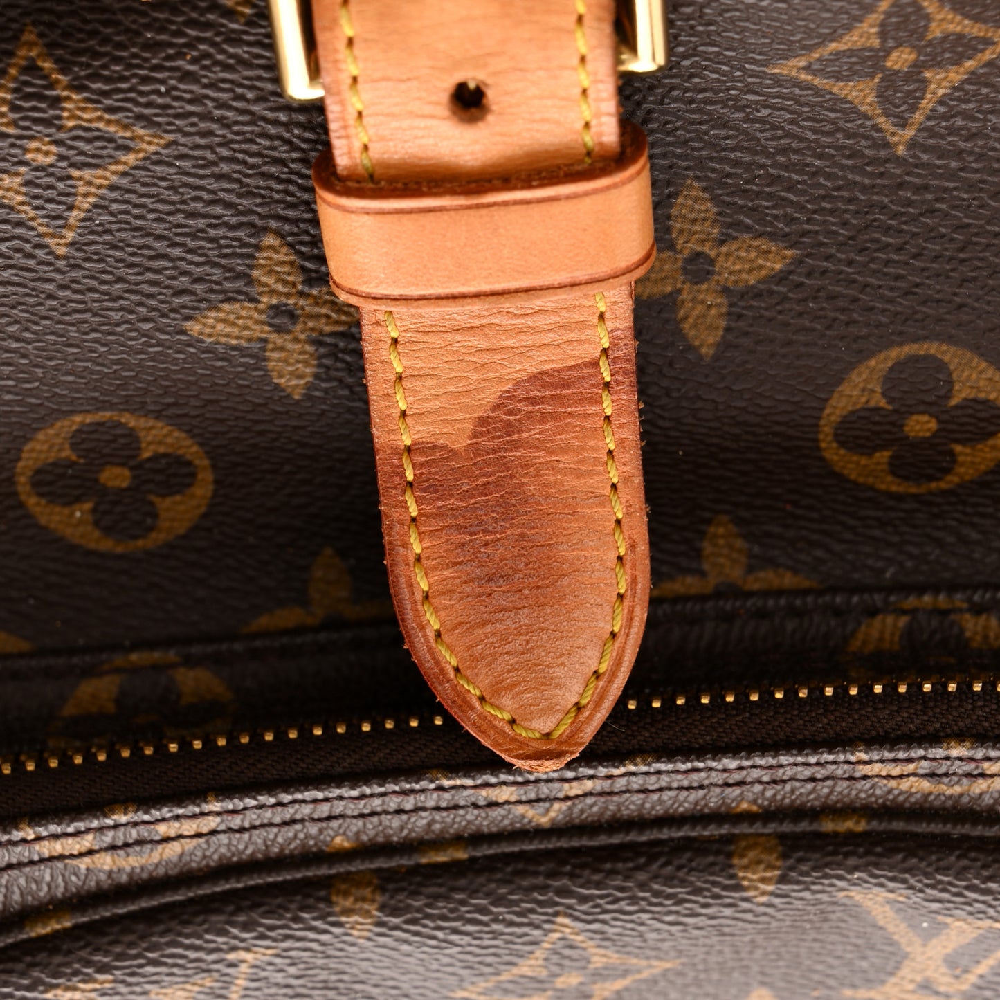 Monogram Montsouris GM Backpack