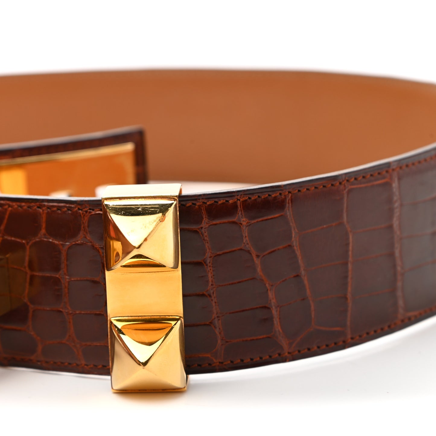Alligator Collier De Chien CDC Belt 72 Miel