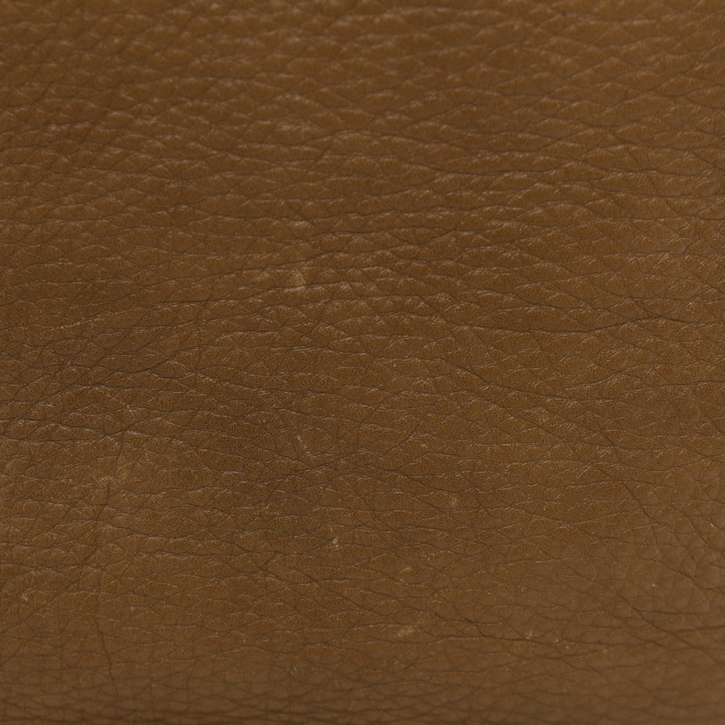 Calfskin Large Marcie Hobo Nut