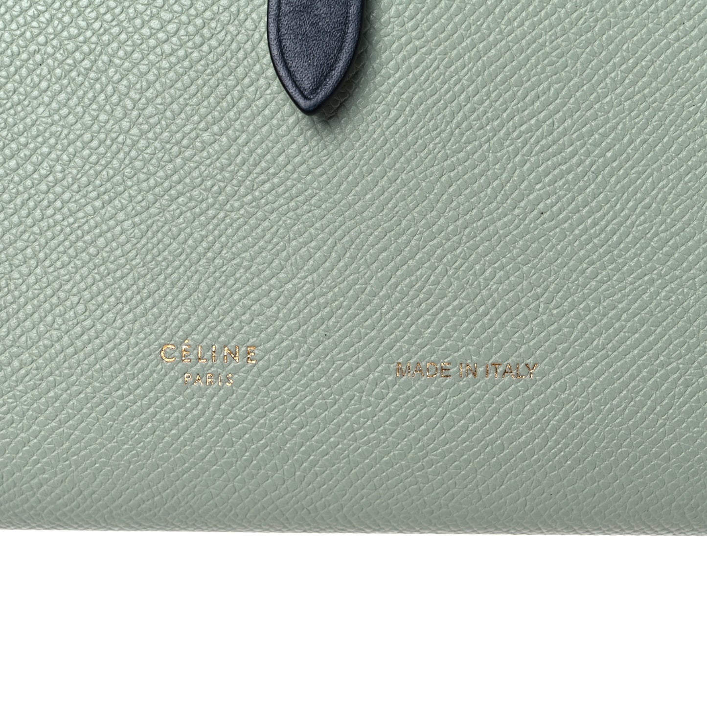 Grained Calfskin Large Multifunction Strap Wallet Pistachio