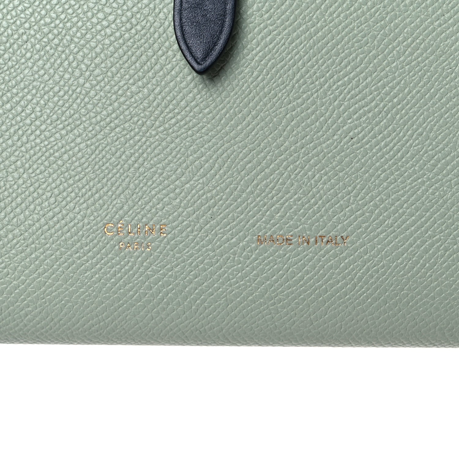 Celine Grained Calfskin Large Multifunction Strap Wallet Pistachio 6 of 18