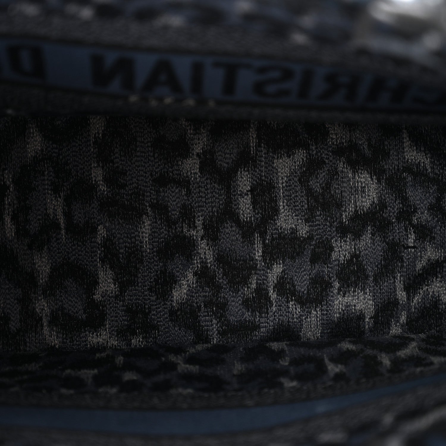 Christian Dior Canvas Mizza Embroidered Medium Leopard Book Tote Blue 5 of 14