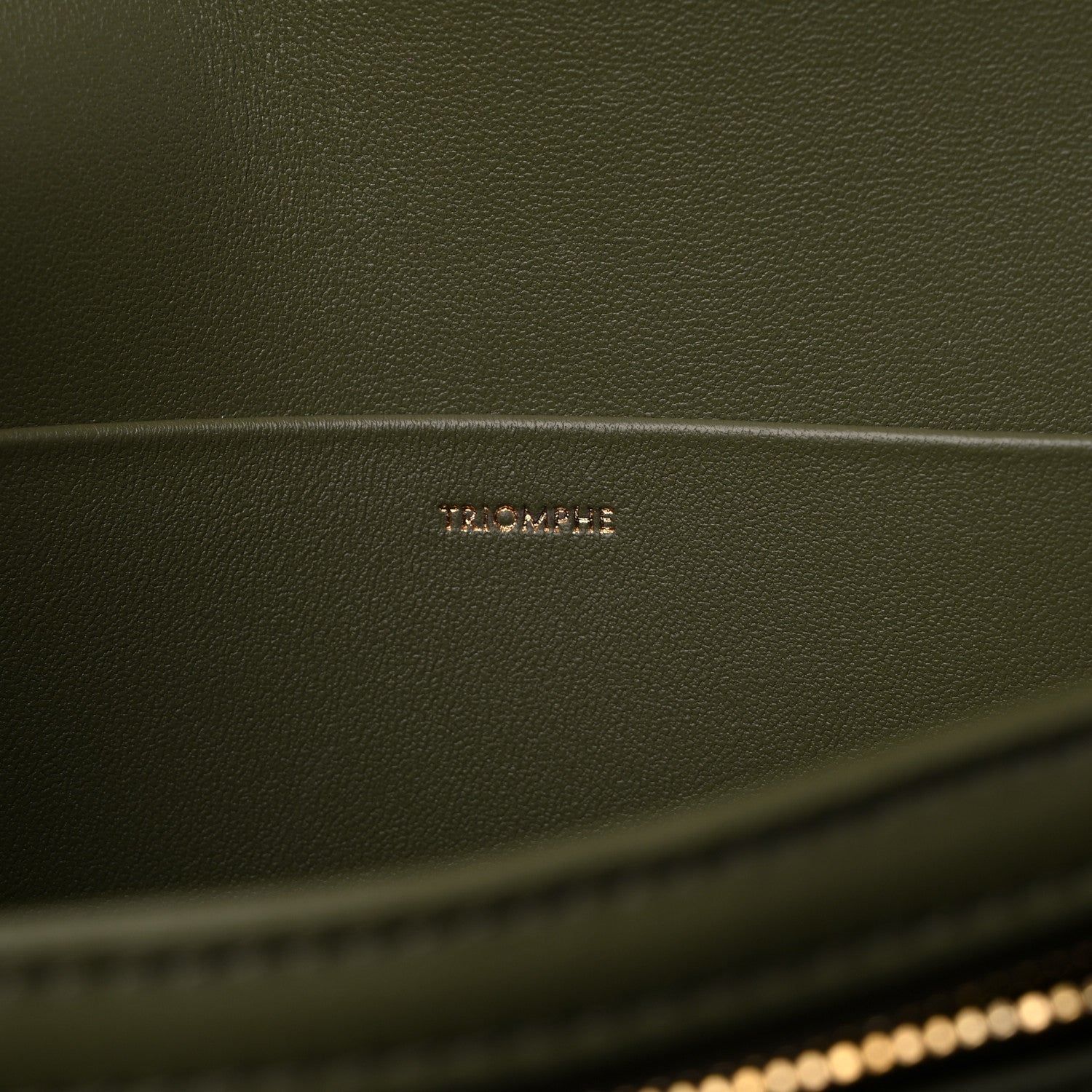 Celine Shiny Calfskin Medium Triomphe Soft Khaki 7 of 9