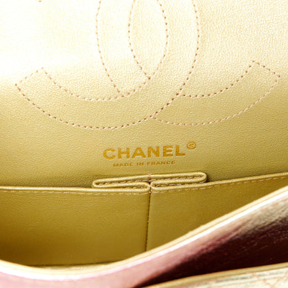 Chanel Metallic Goatskin Quilted 2.55 Reissue 225 Flap Multicolor 6 of 10