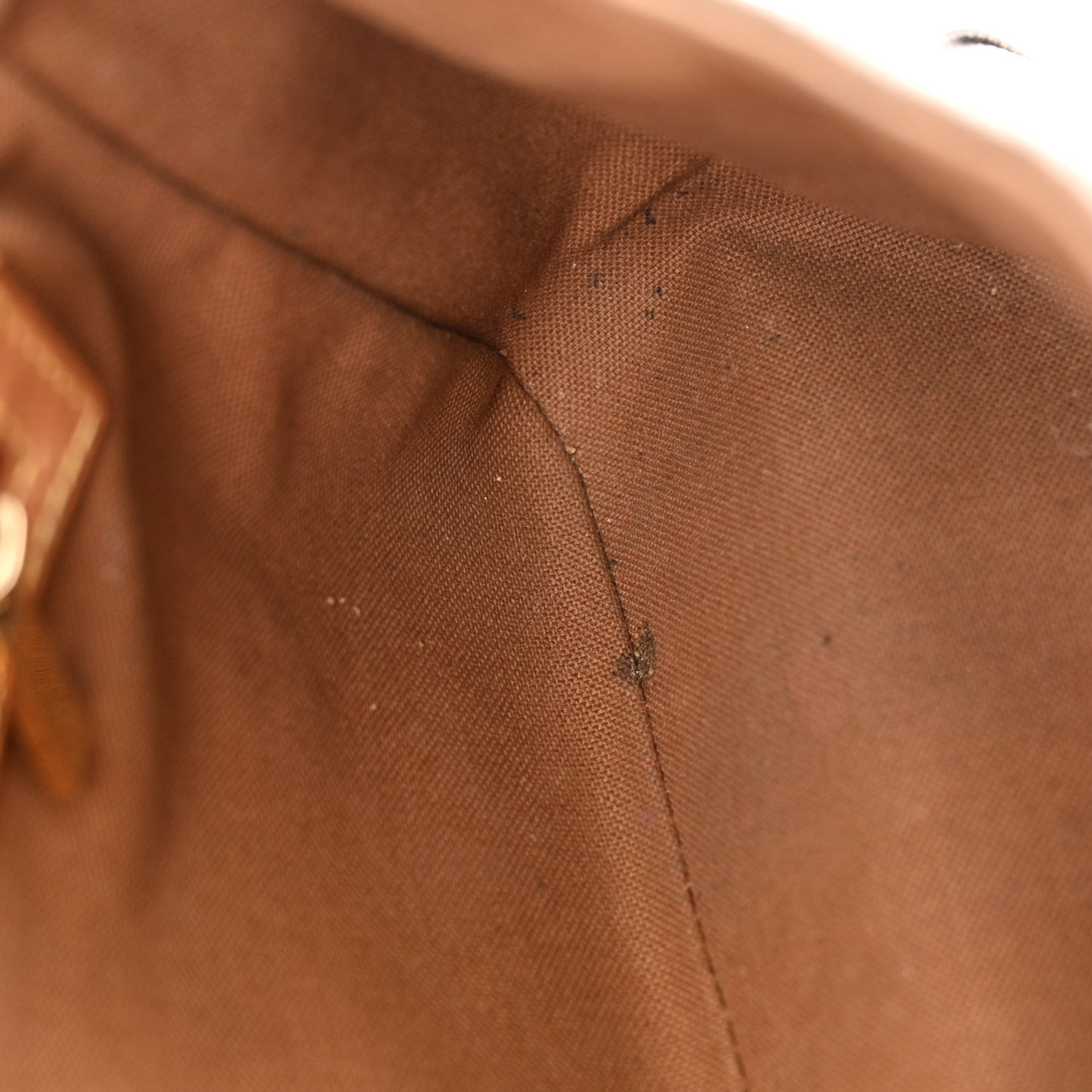 Monogram Mini Looping