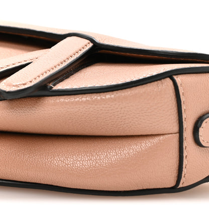 Christian Dior Goatskin Micro Saddle Bag Rose Des Vent 9 of 9