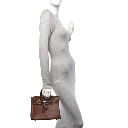 Hermes Ostrich Birkin 25 Noisette 2 of 13