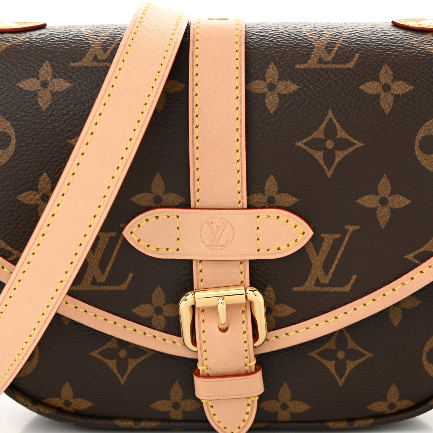 Louis Vuitton Monogram Saumur BB 7 of 10
