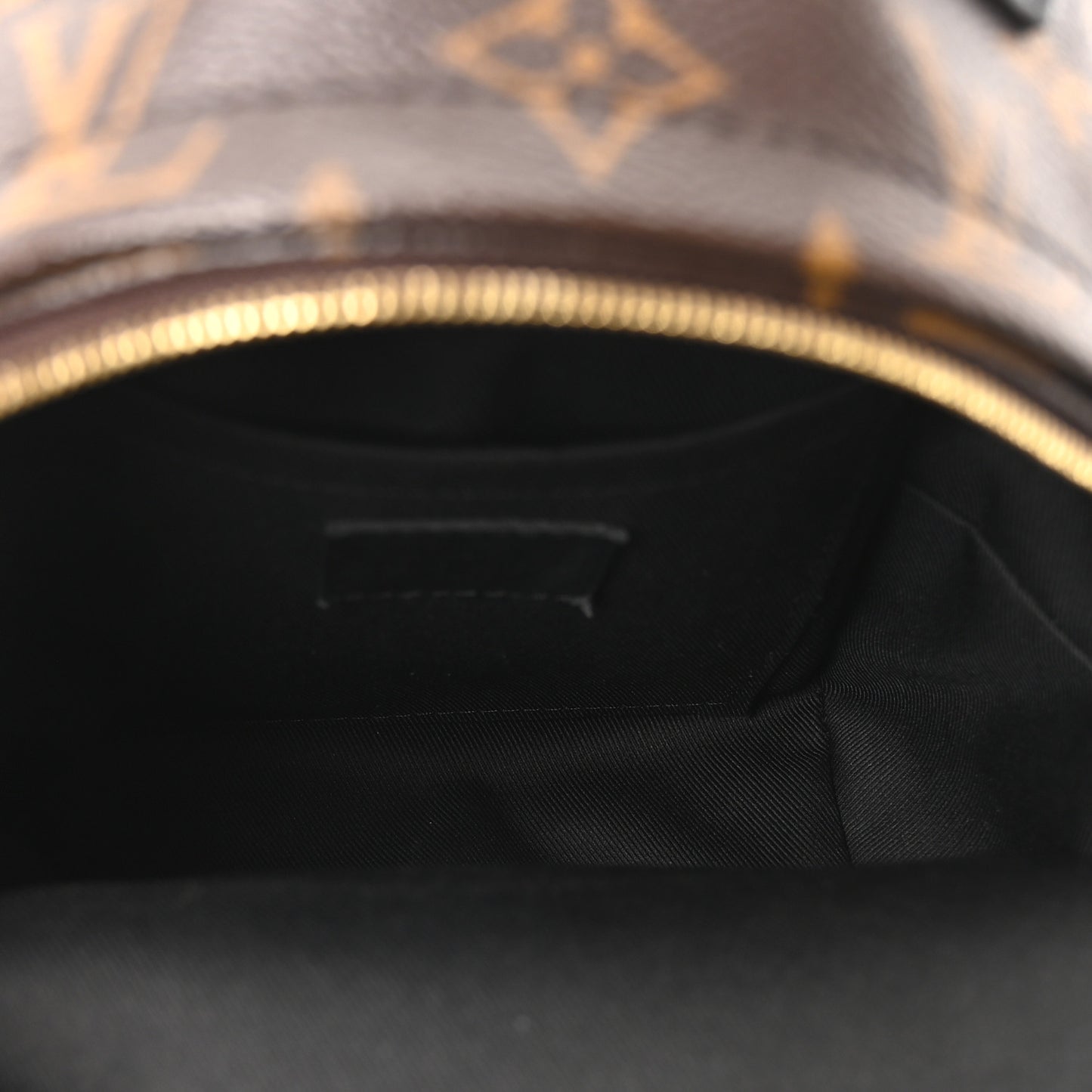 Monogram Palm Springs Backpack Mini