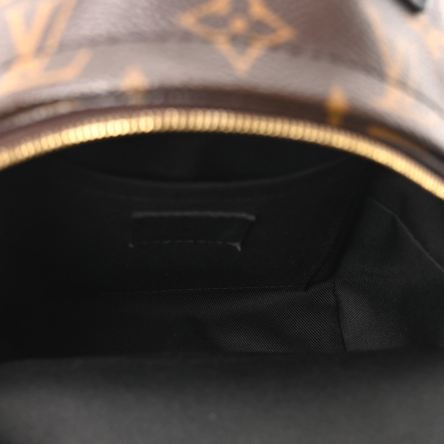 Louis Vuitton Monogram Palm Springs Backpack Mini 5 of 10