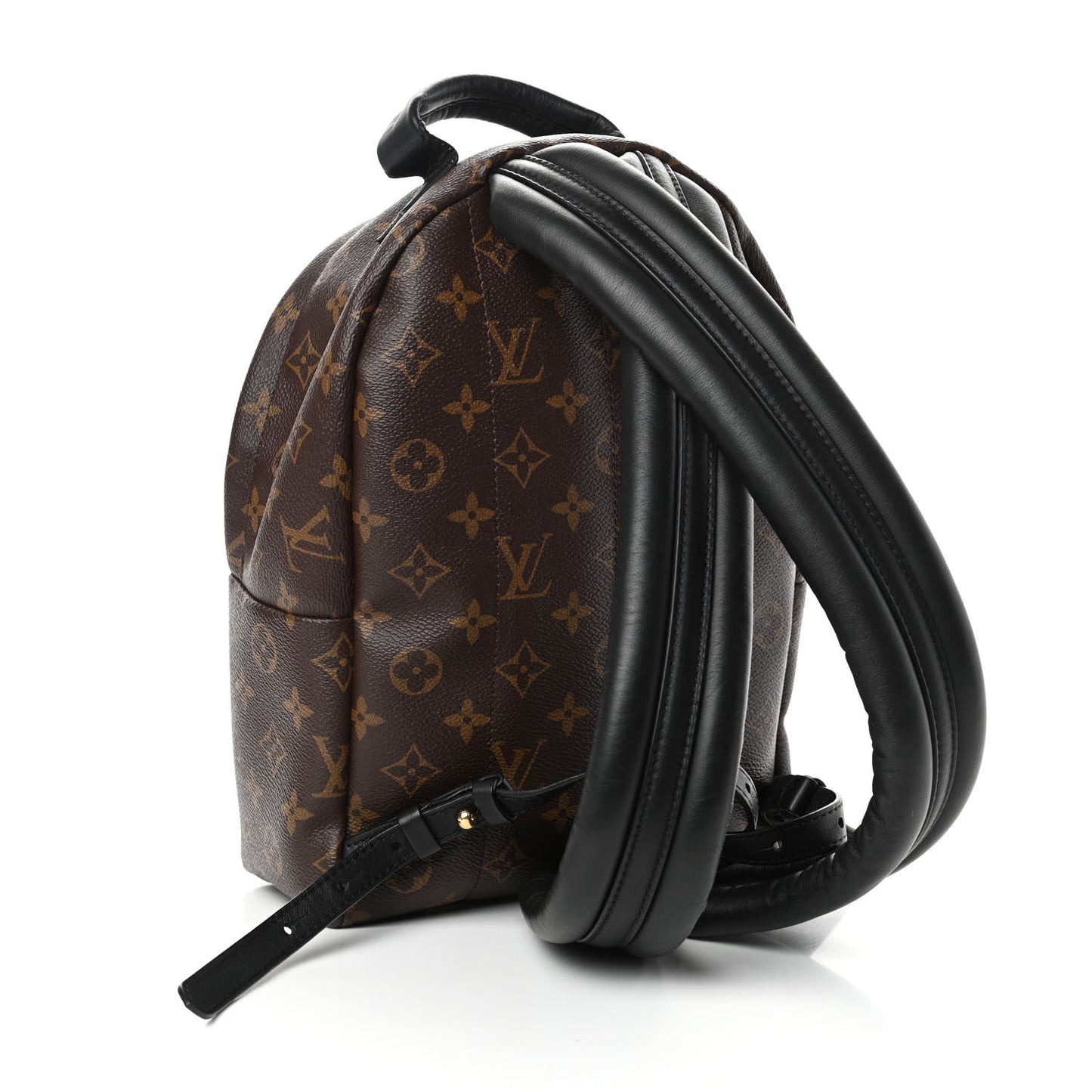 Monogram Palm Springs Backpack PM