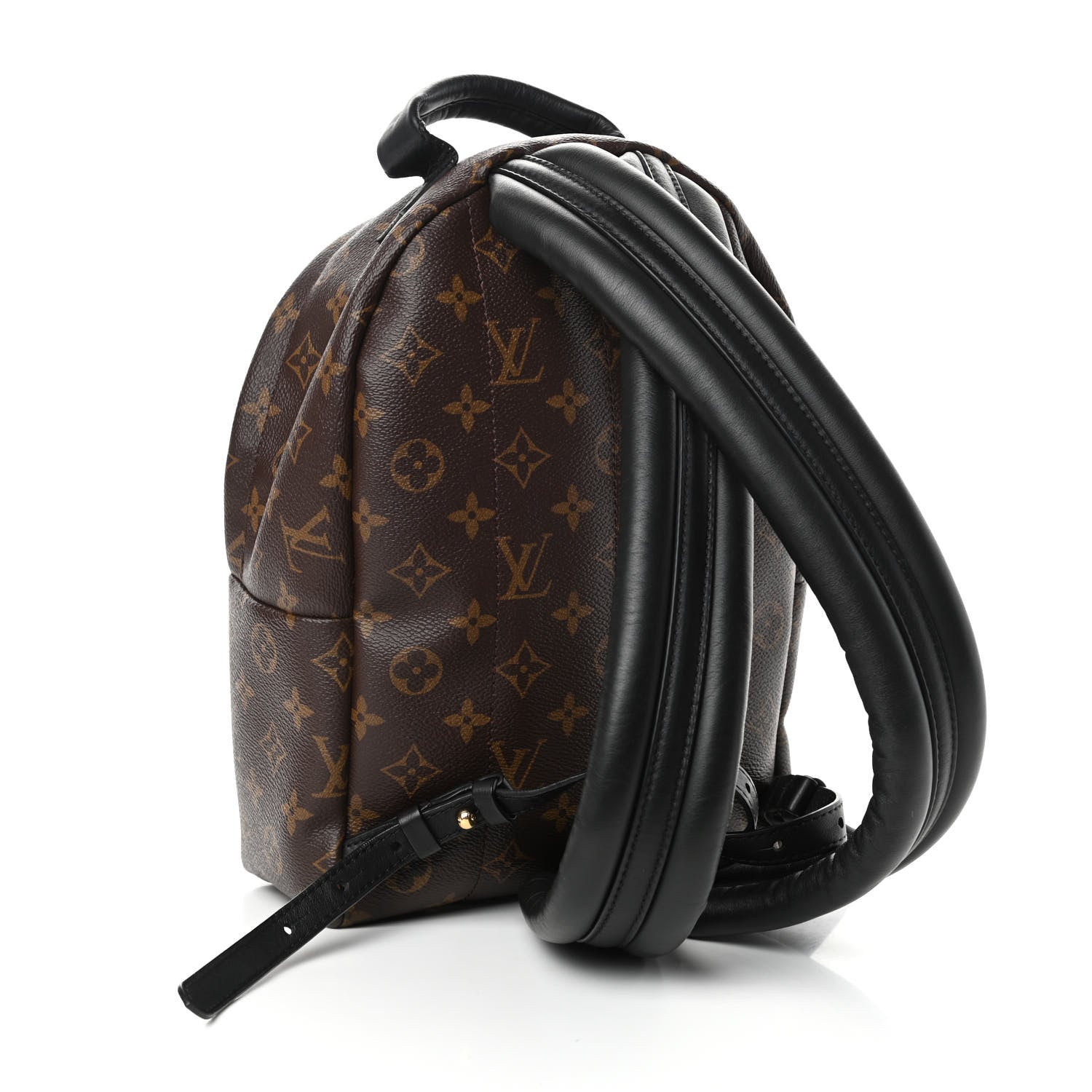 Louis Vuitton Monogram Palm Springs Backpack PM 3 of 9