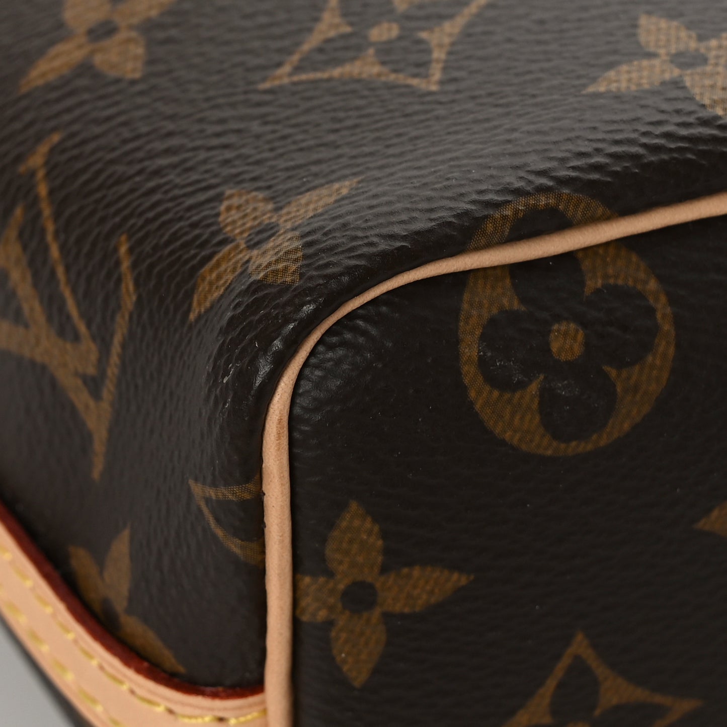 Monogram Nano Noe