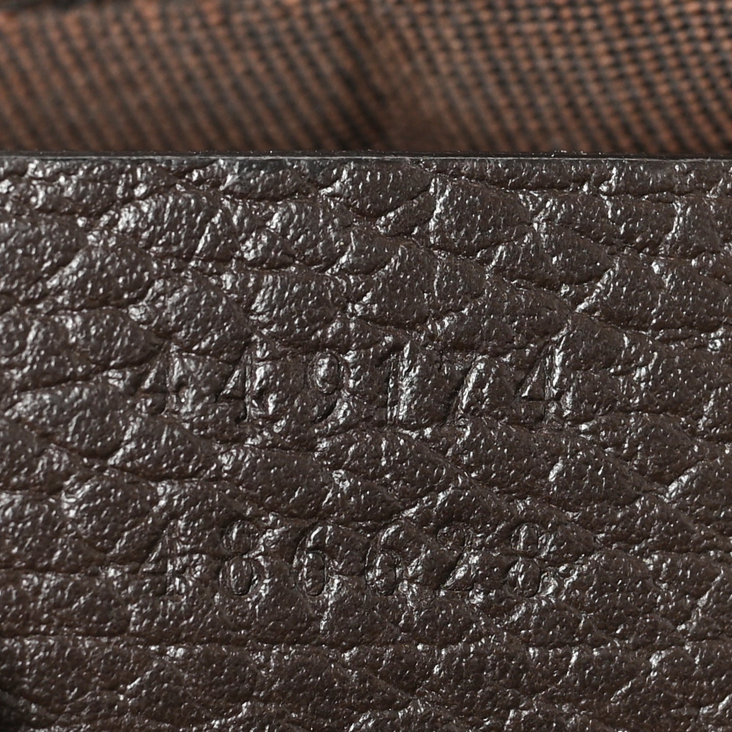 Monogram Dollar Calfskin Belt Bag Beige Ebony Testa di Moro Marrone Scuro