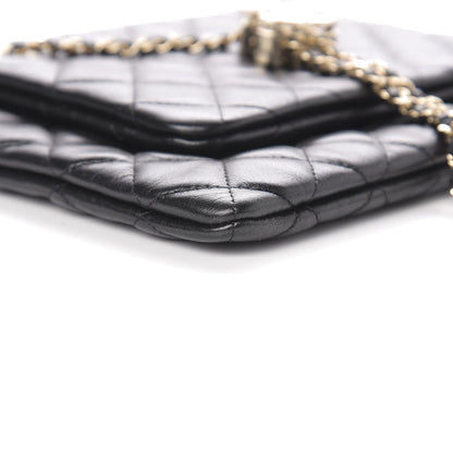 Chanel Shiny Lambskin Quilted Medium Double Case With Strap Black 16 of 23