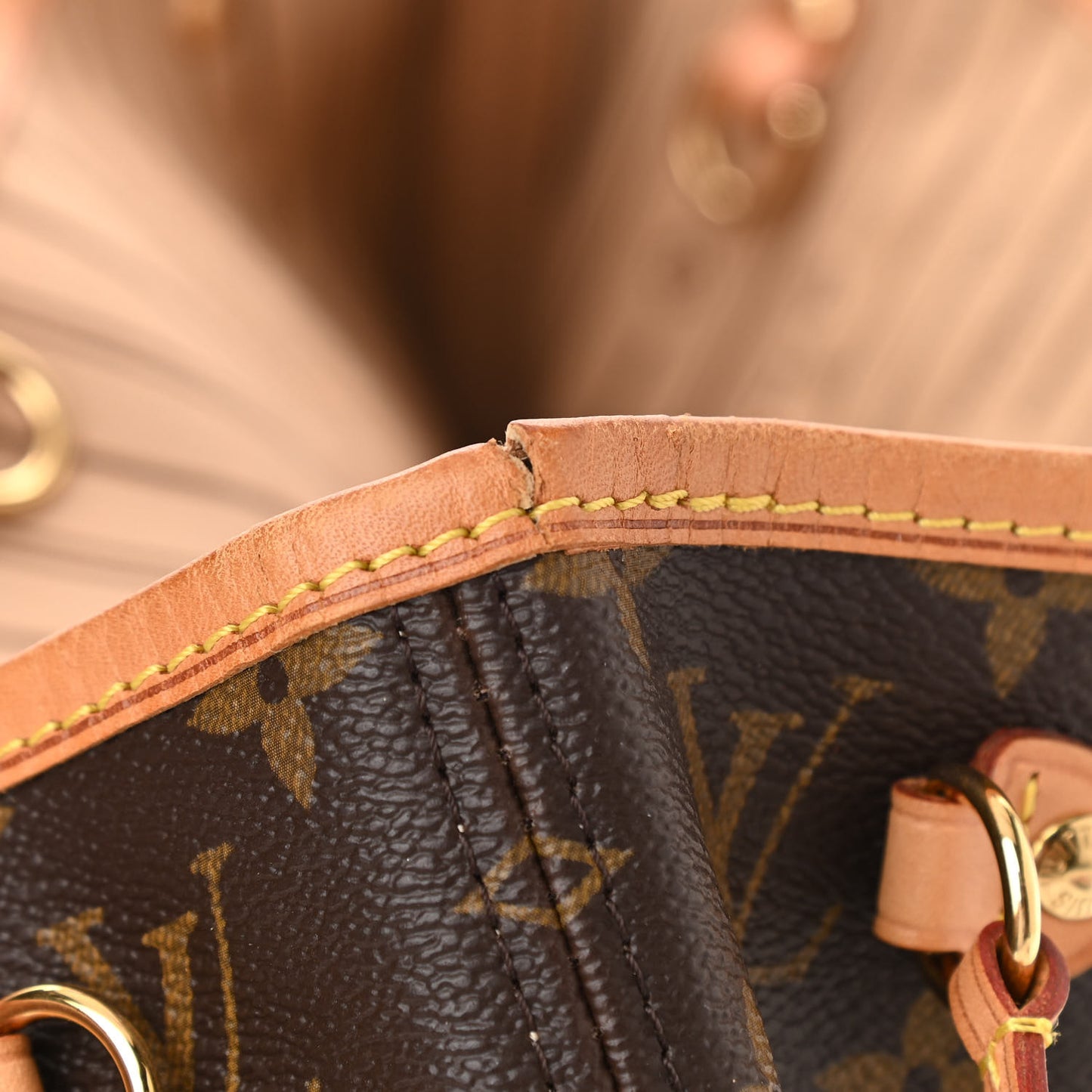 Monogram Neverfull PM