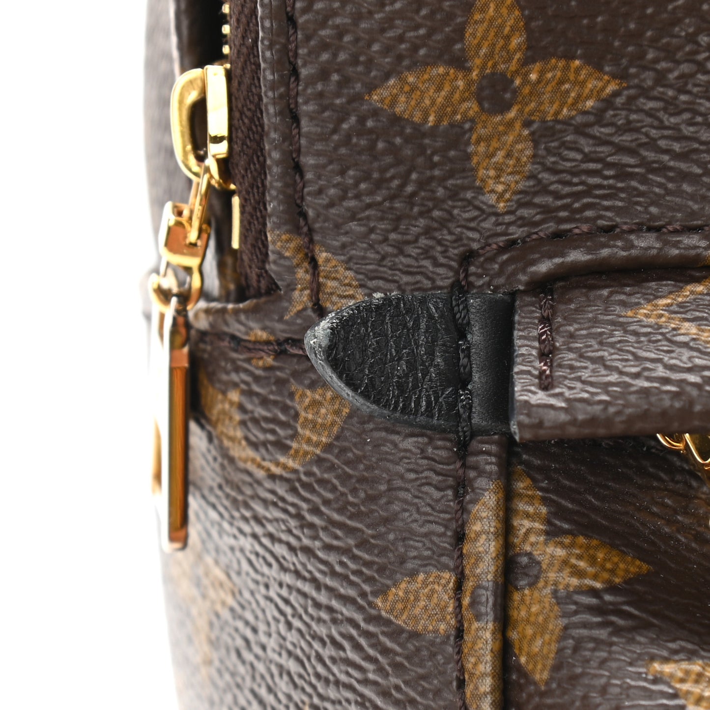 Monogram Palm Springs Backpack Mini