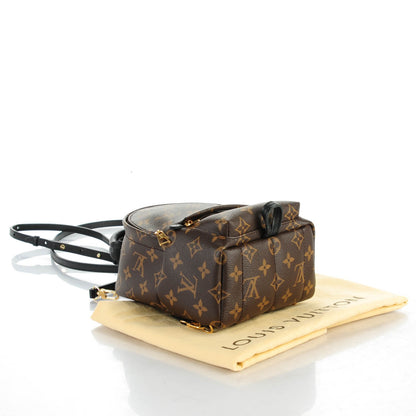 Louis Vuitton Monogram Palm Springs Backpack Mini 4 of 7