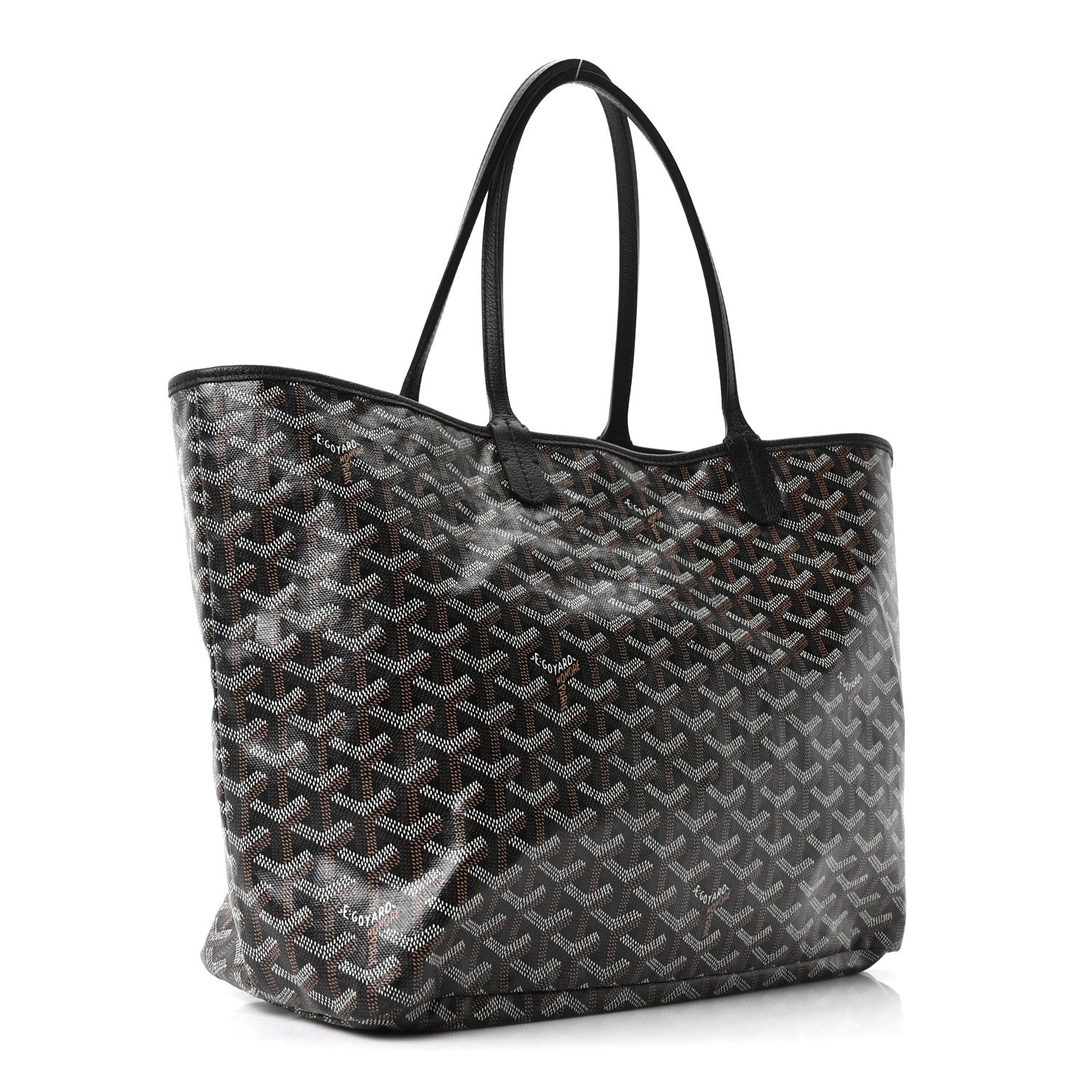 Goyard Goyardine Saint Louis PM Black 4 of 9