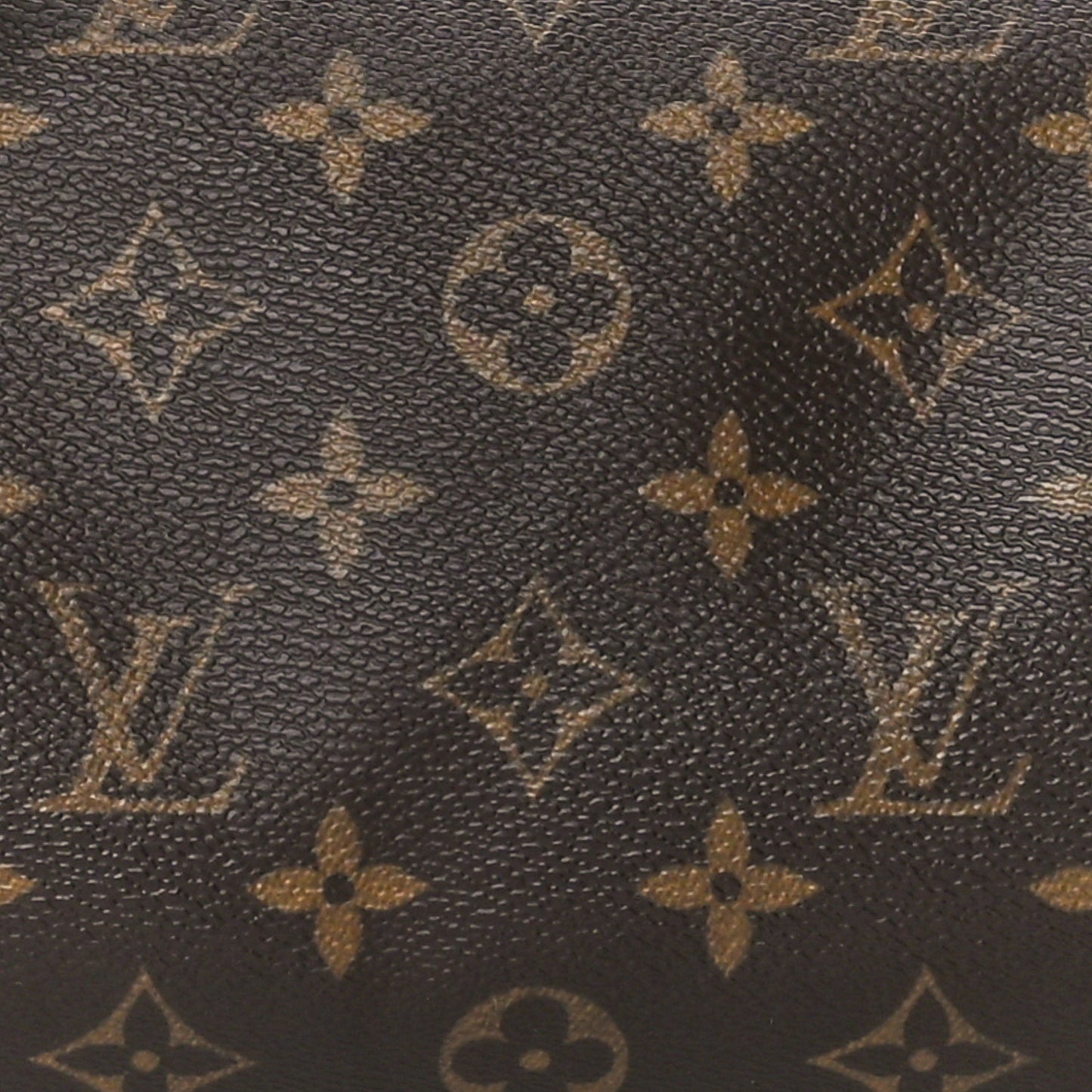 Monogram Papillon 30 with Companion