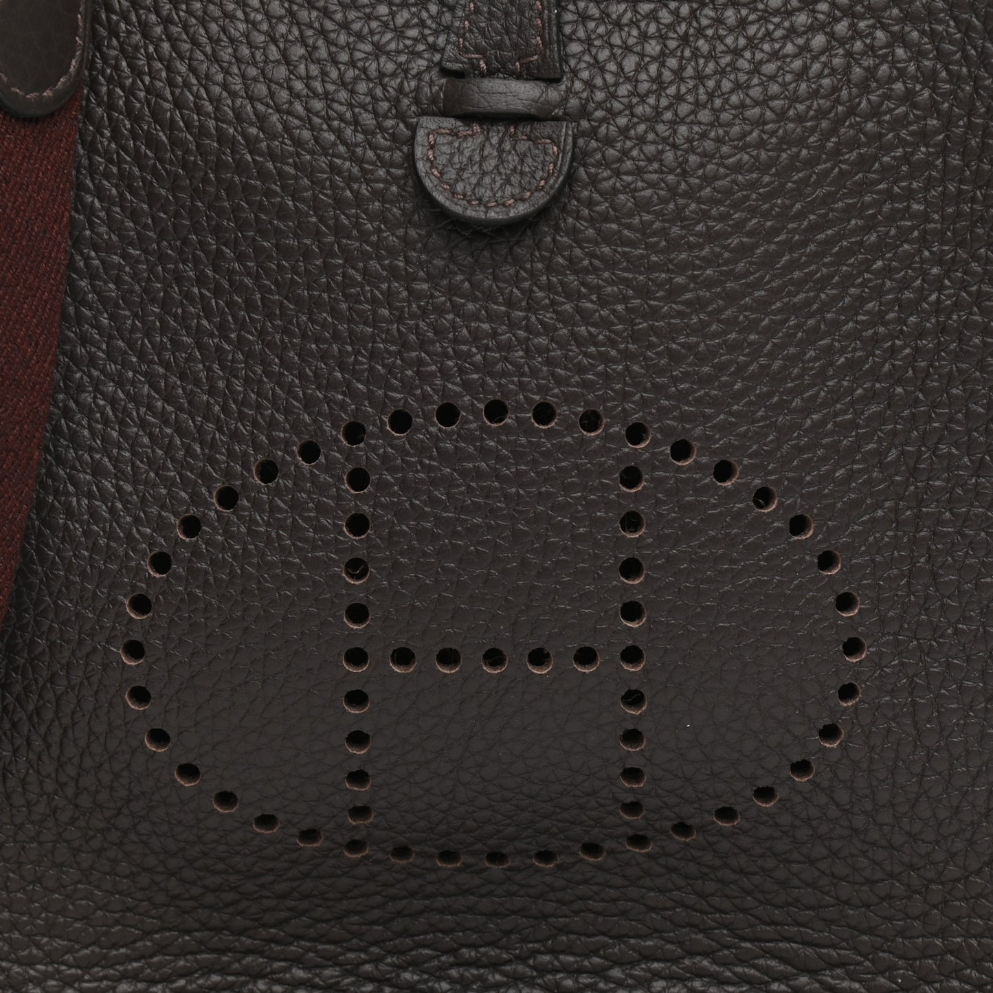 Taurillon Clemence Evelyne TPM Chocolate