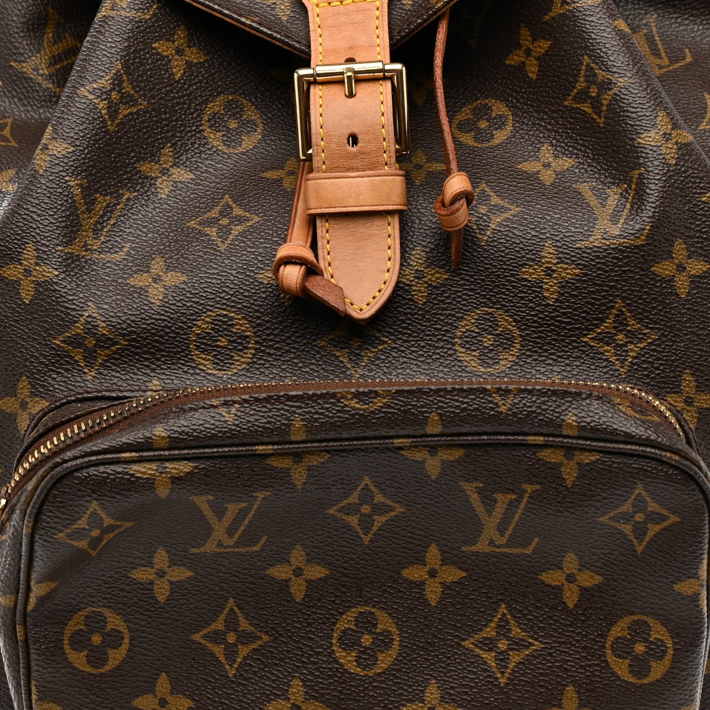 Monogram Montsouris GM Backpack