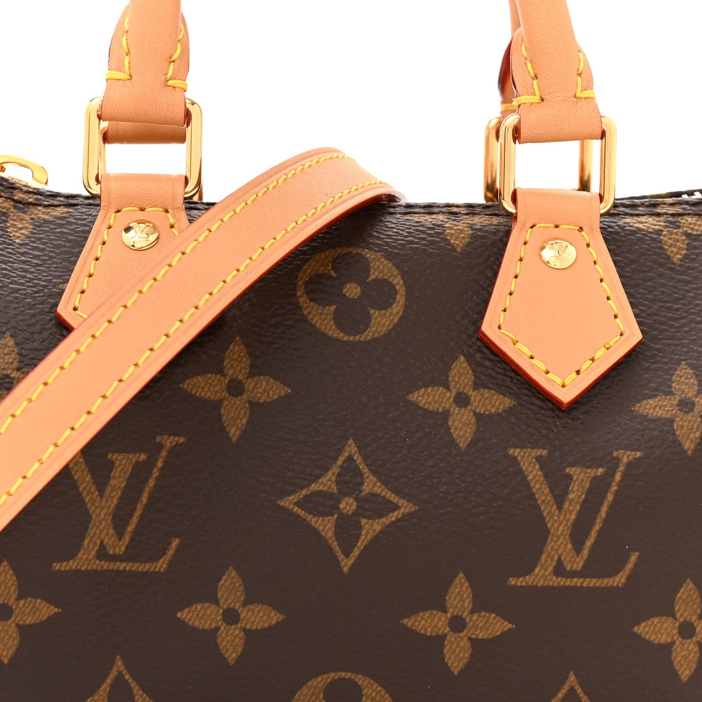 Monogram Nano Speedy Bandouliere