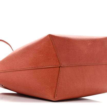 Mansur Gavriel Vegetable Tanned Calfskin Mini Bucket Bag Brandy 9 of 12