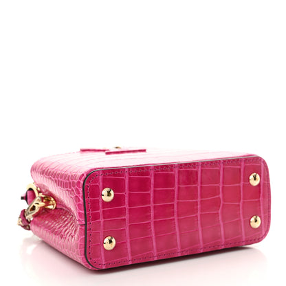 Louis Vuitton Crocodile Nano Capucines 5 of 10