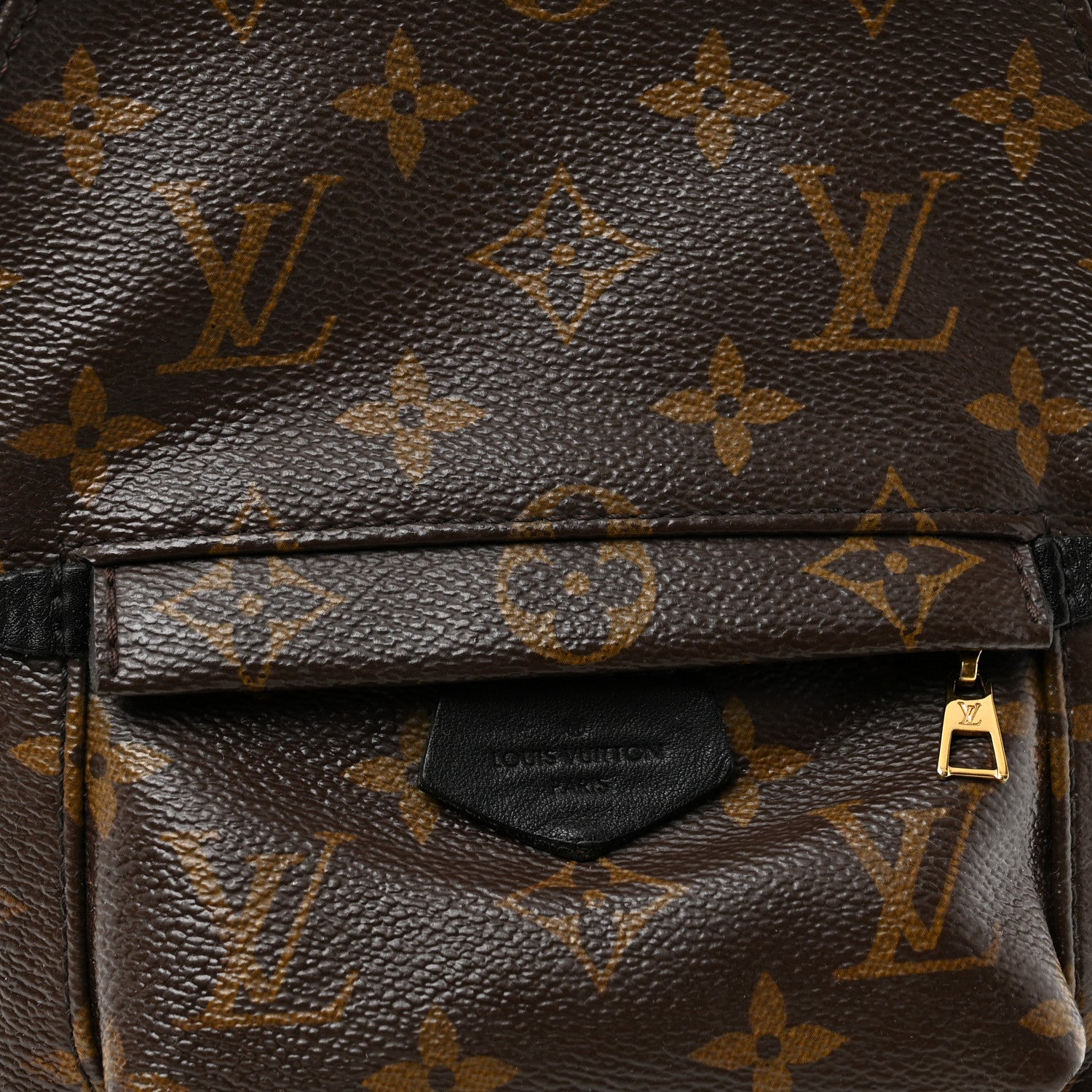 Louis Vuitton Monogram Palm Springs Backpack Mini 1873372