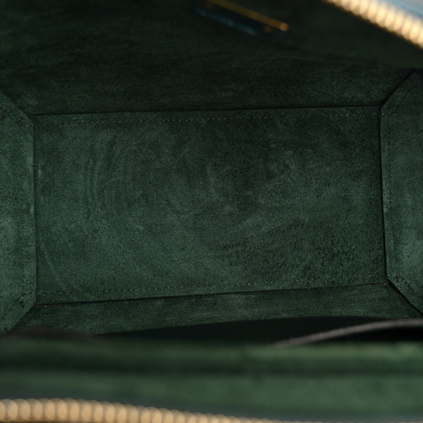 Grained Calfskin Micro Belt Bag Amazone