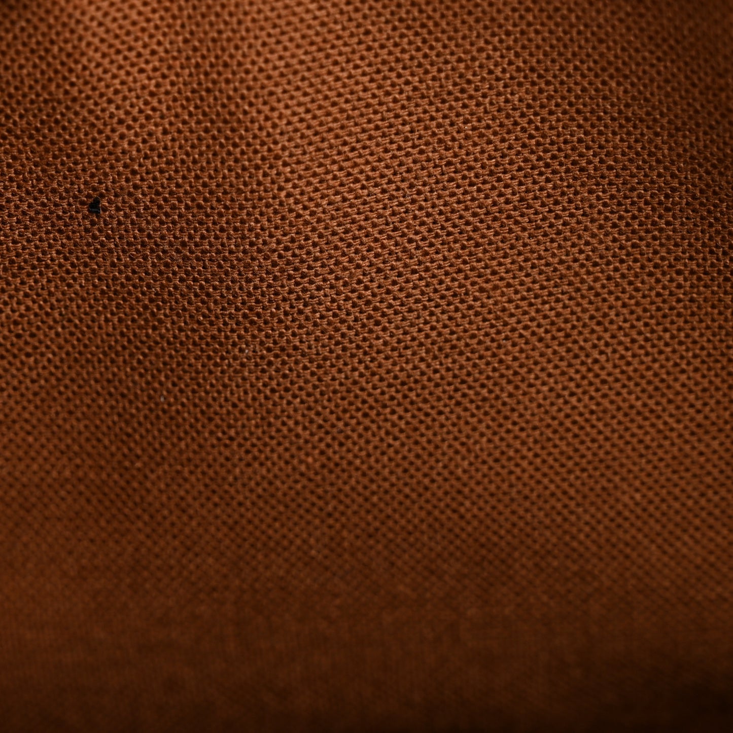 Monogram Cabas Piano