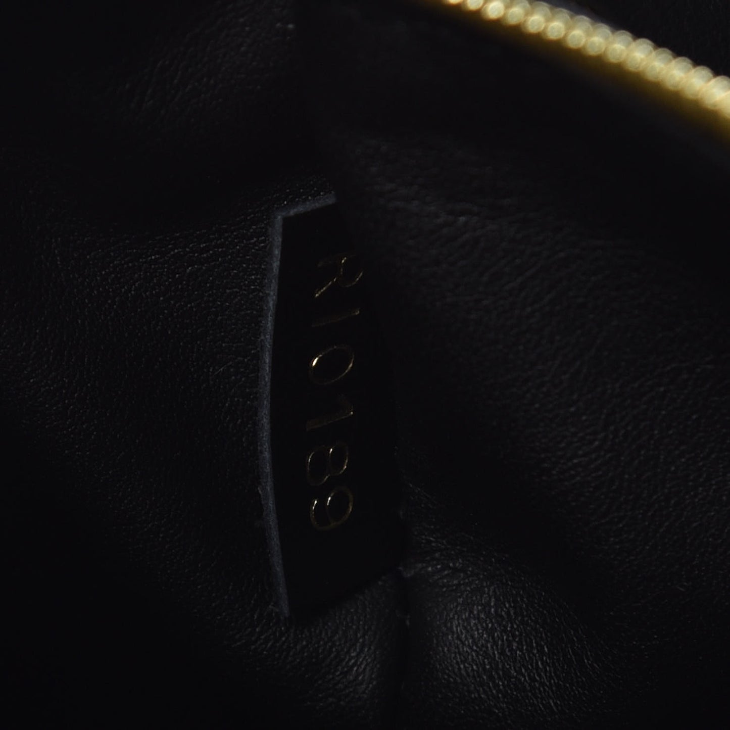 Grained Smooth Calfskin Rose Des Vents MM Black