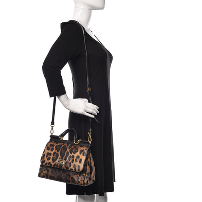 Dolce & Gabbana Dauphine Leopard Print Small Miss Sicily Satchel Black 2 of 14