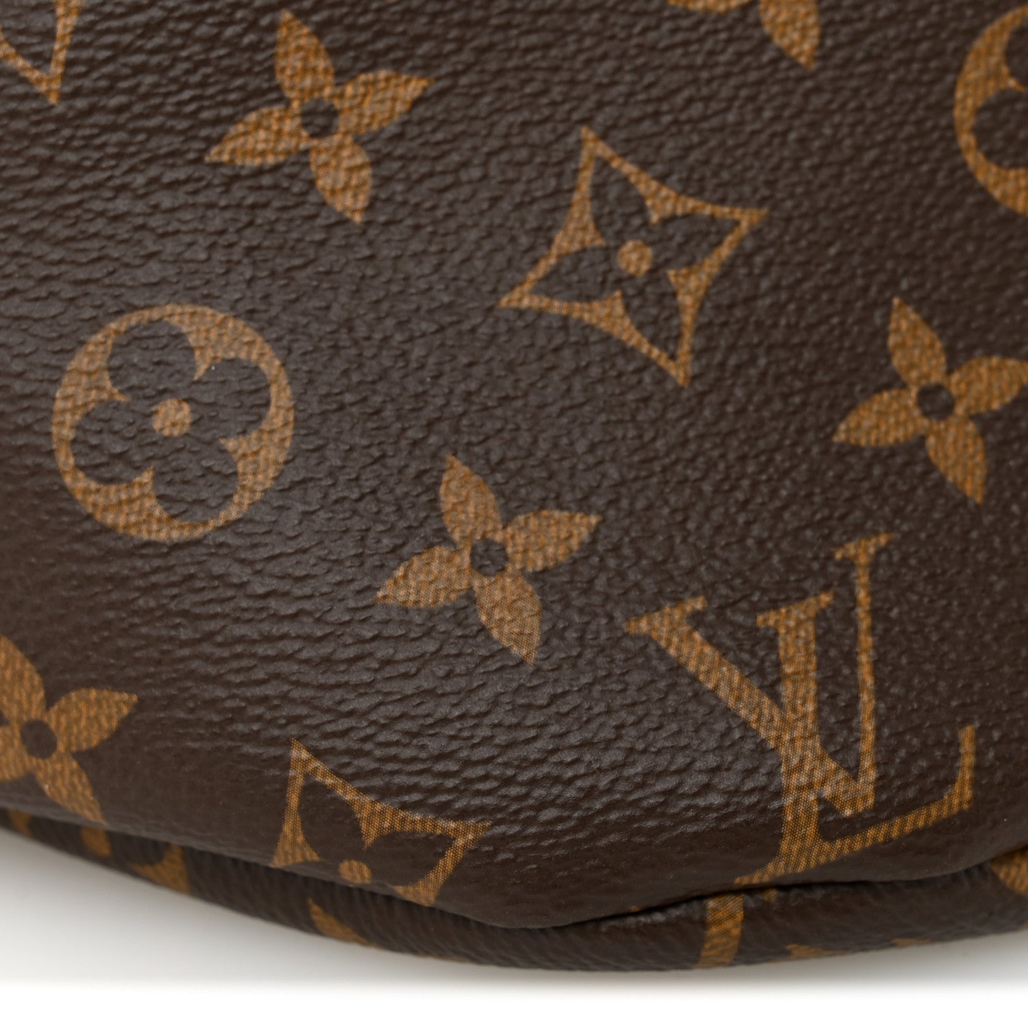 Louis Vuitton Monogram Bumbag 8 of 9