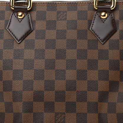 Louis Vuitton Damier Ebene Saleya PM 8 of 10