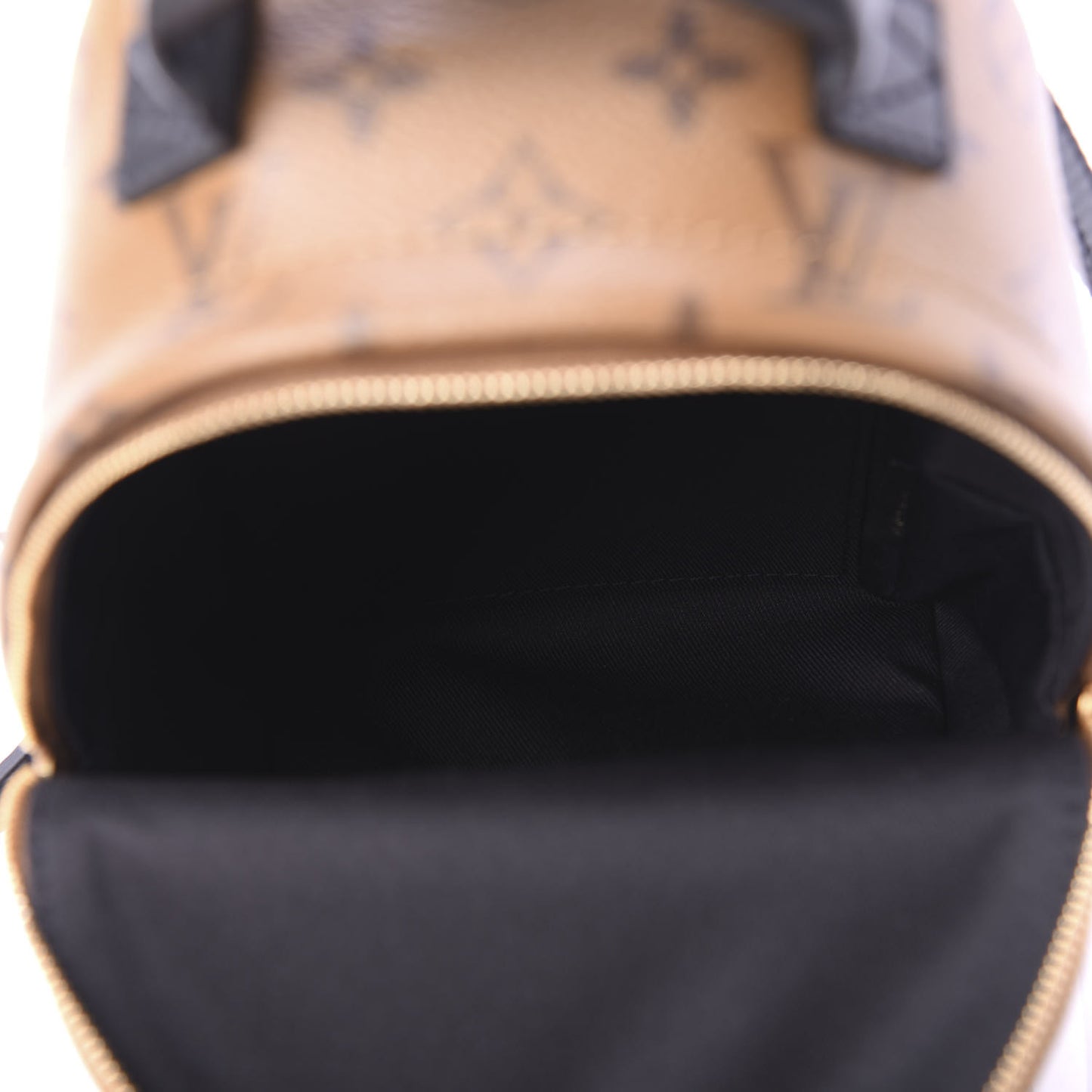 Reverse Monogram Palm Springs Backpack Mini