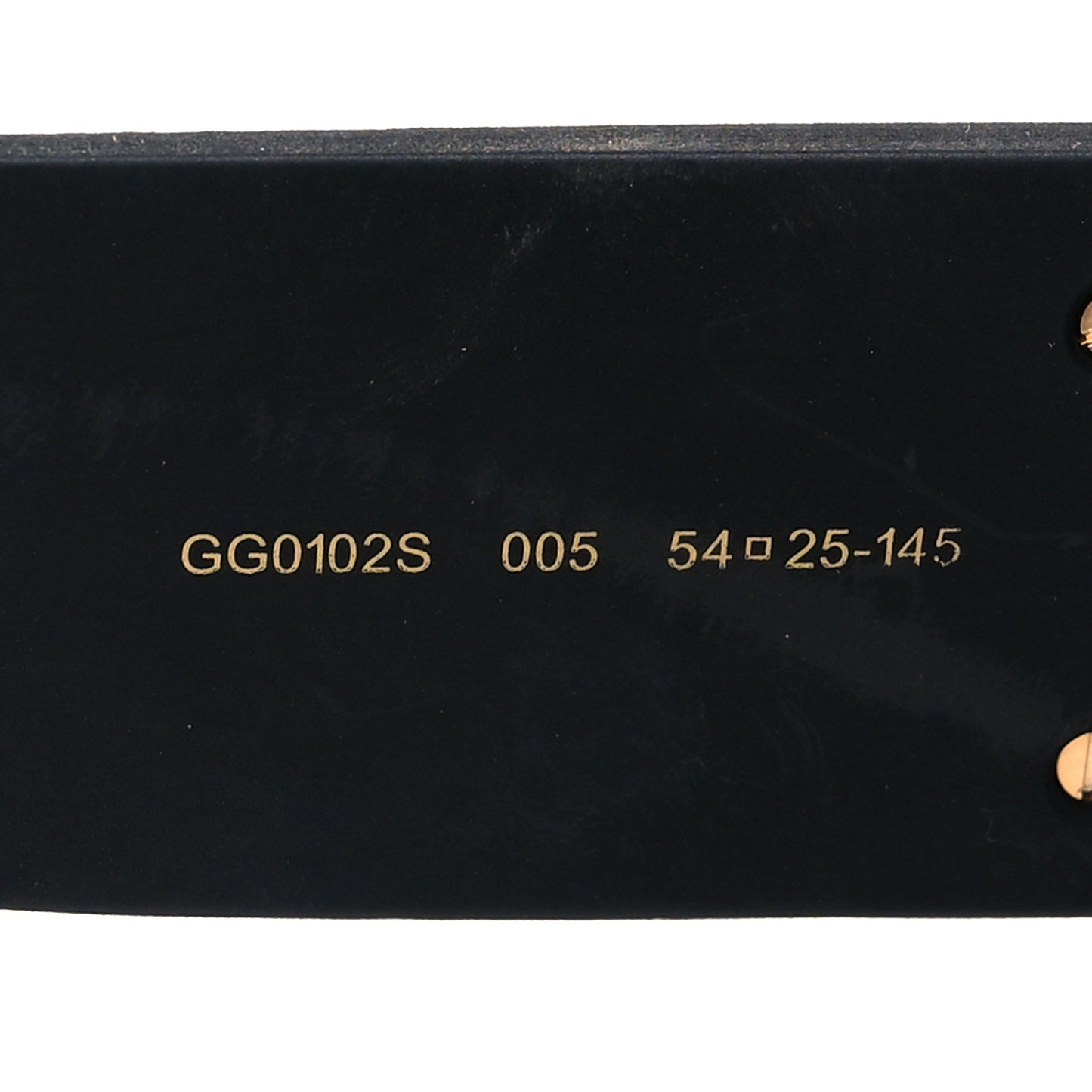 Square Frame GG0102S Sunglasses Glitter Gold Multi