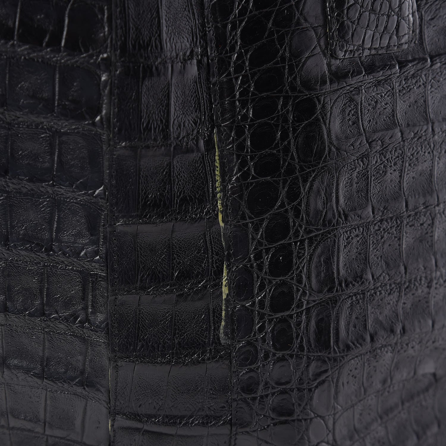 Nancy Gonzalez Crocodile Tote Black 11 of 11