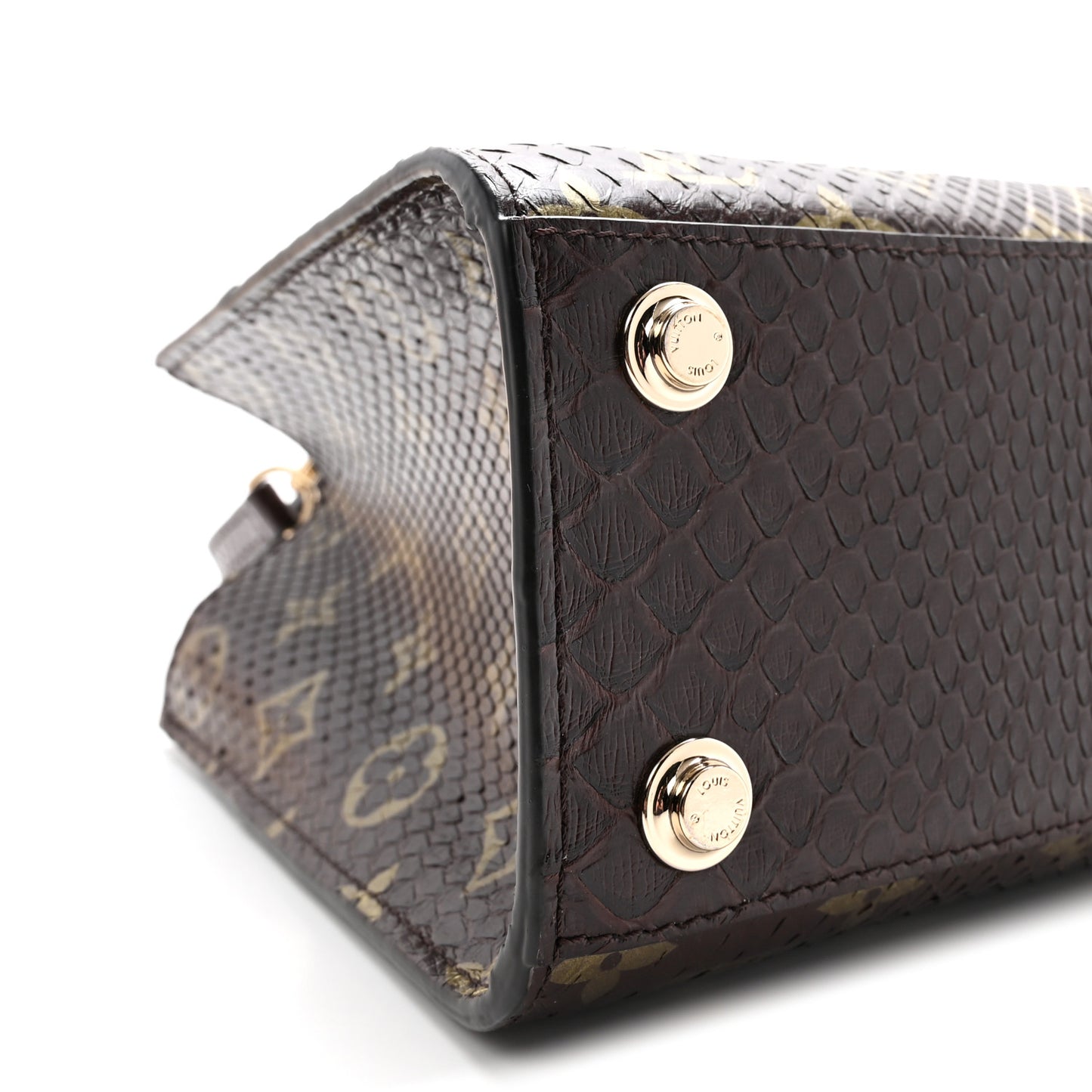Snakeskin Monogram City Steamer Mini Brown