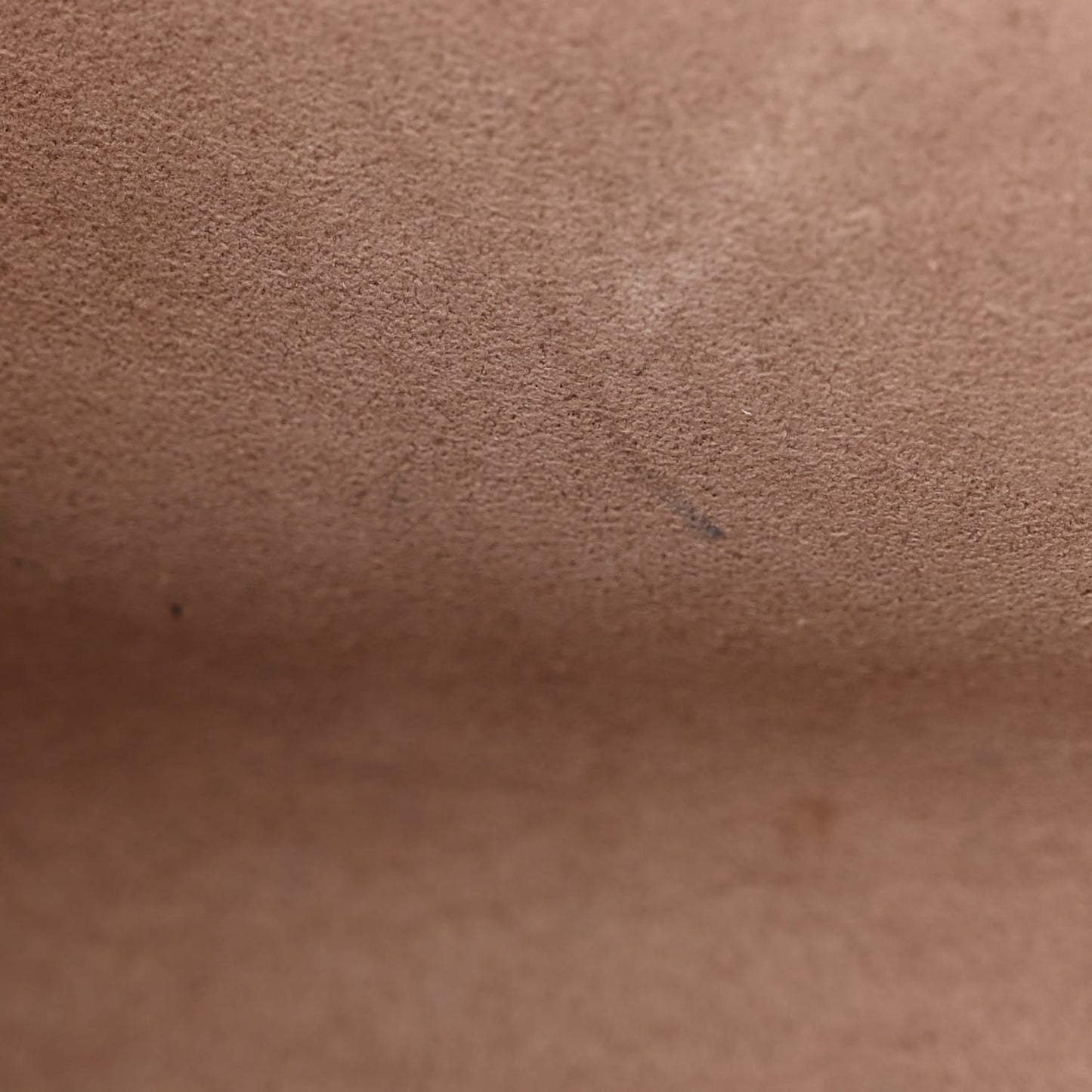 Empreinte Vavin PM Tourterelle