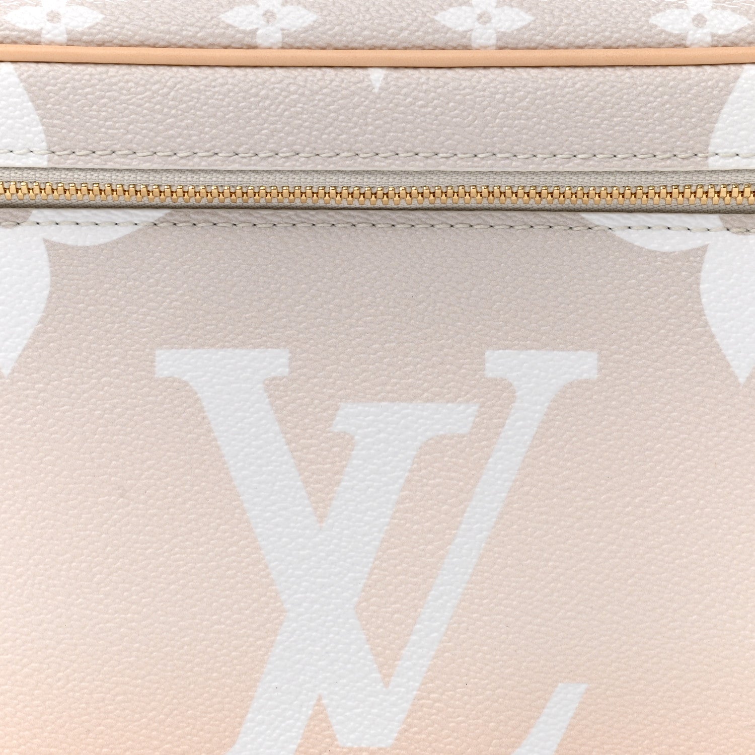 Louis Vuitton Monogram Giant By The Pool Nice BB Brume 7 of 9