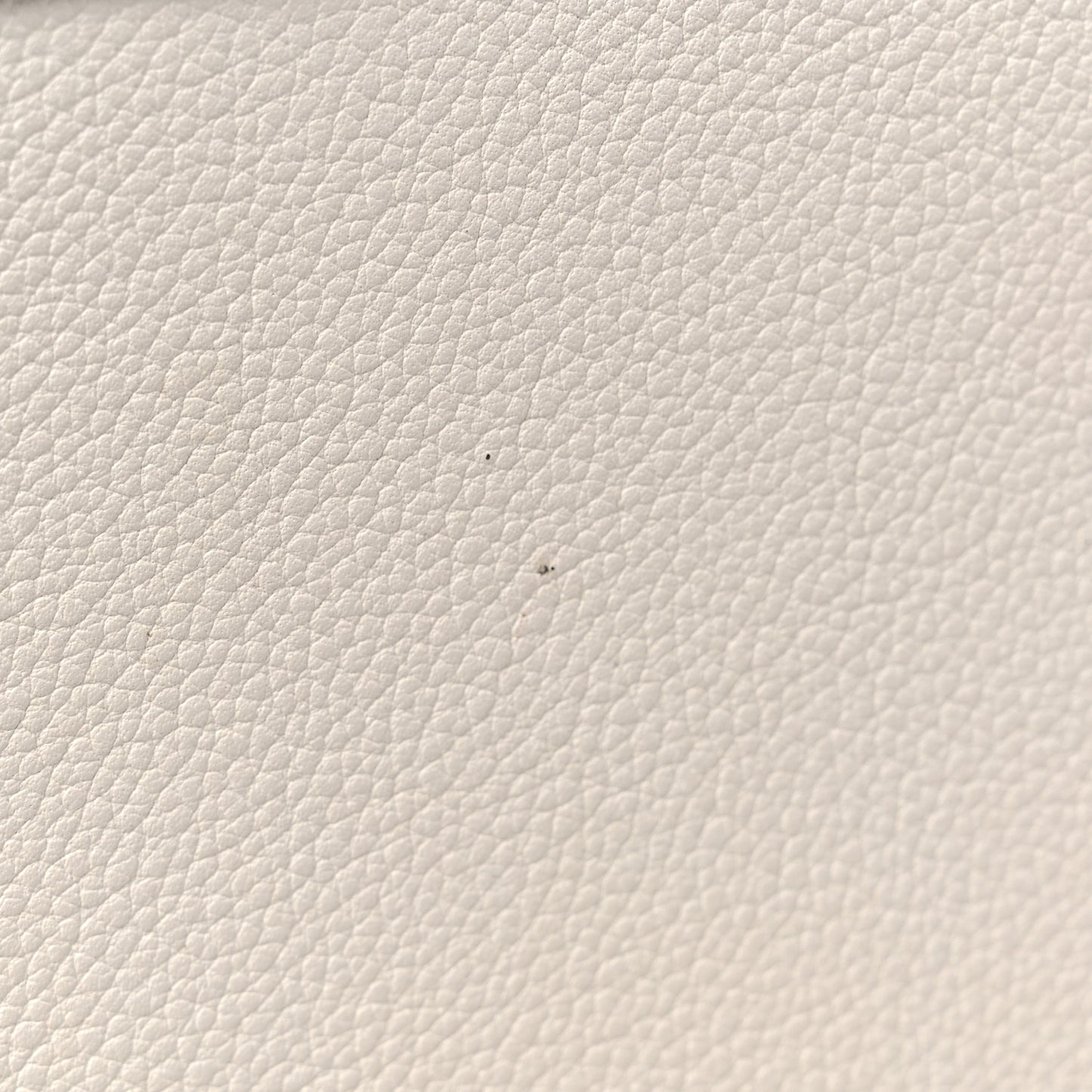 Grained Calfskin Tara Chain Shoulder Bag White