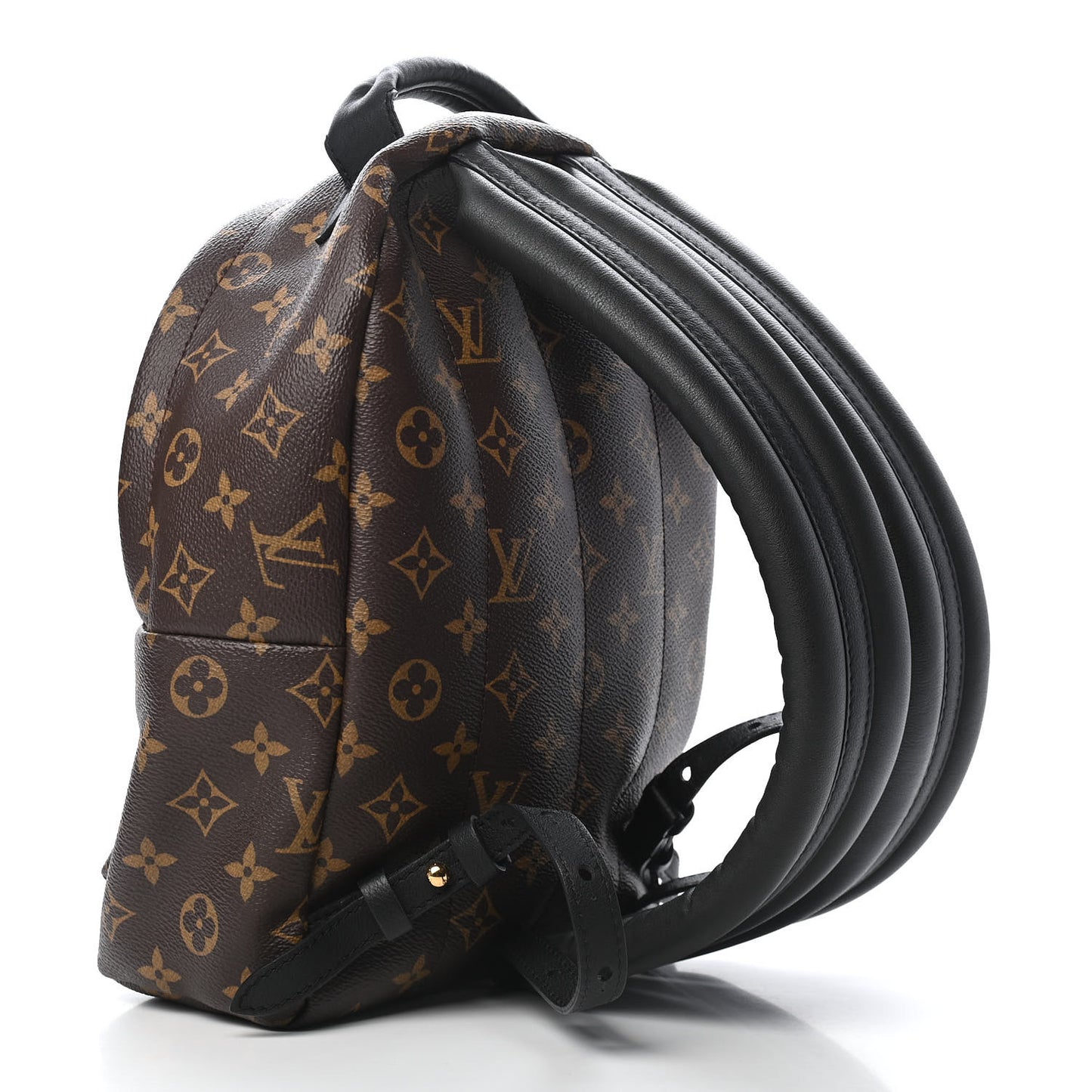 Monogram Palm Springs Backpack PM