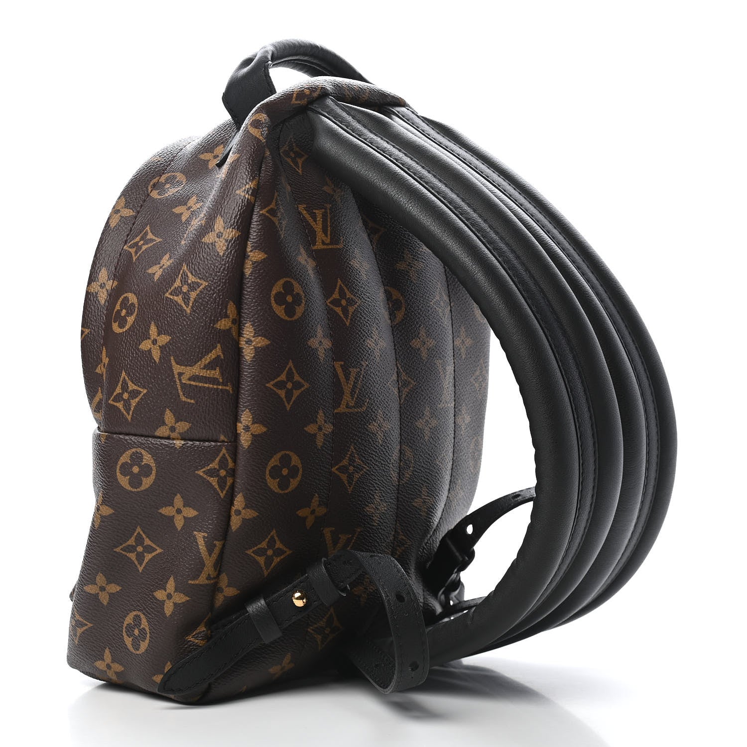 Louis Vuitton Monogram Palm Springs Backpack PM 3 of 8