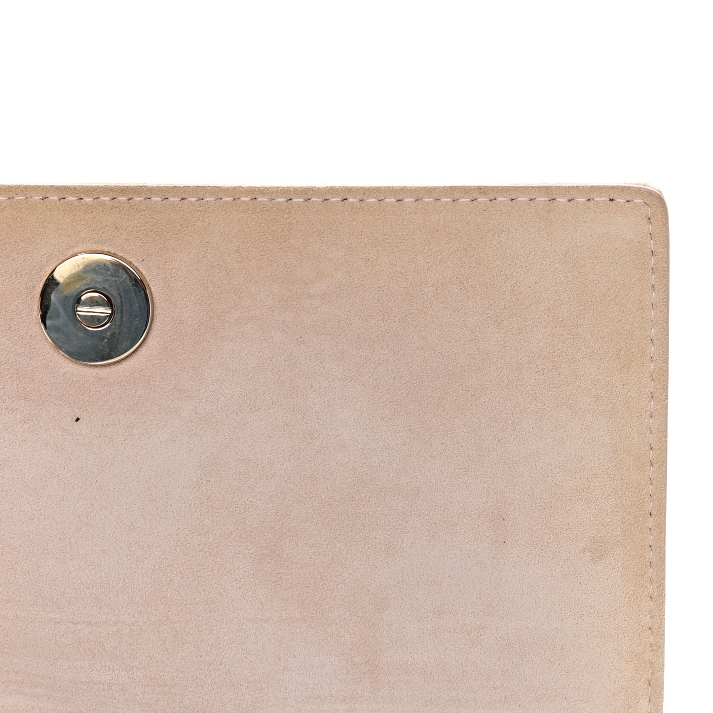 Grained Calfskin Diorama Wallet on Chain Pouch Nude