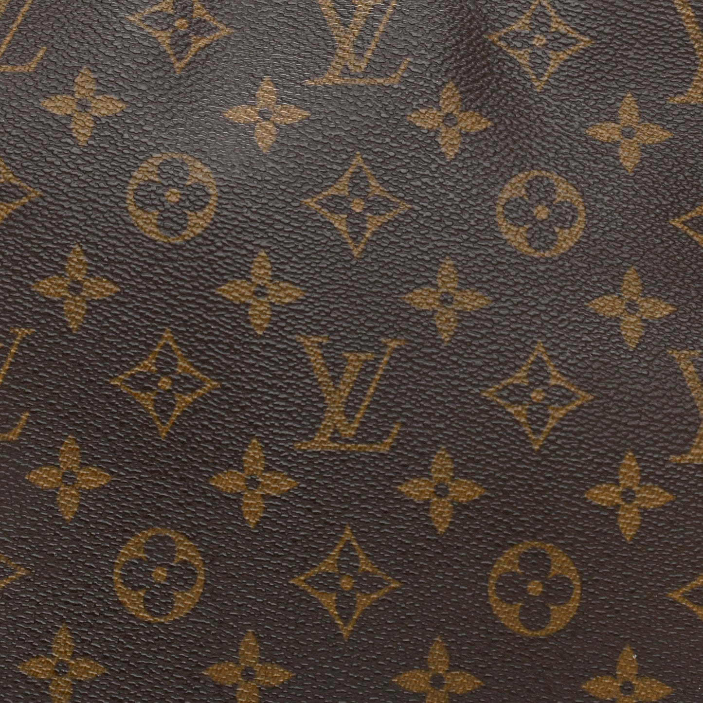 Monogram Looping MM