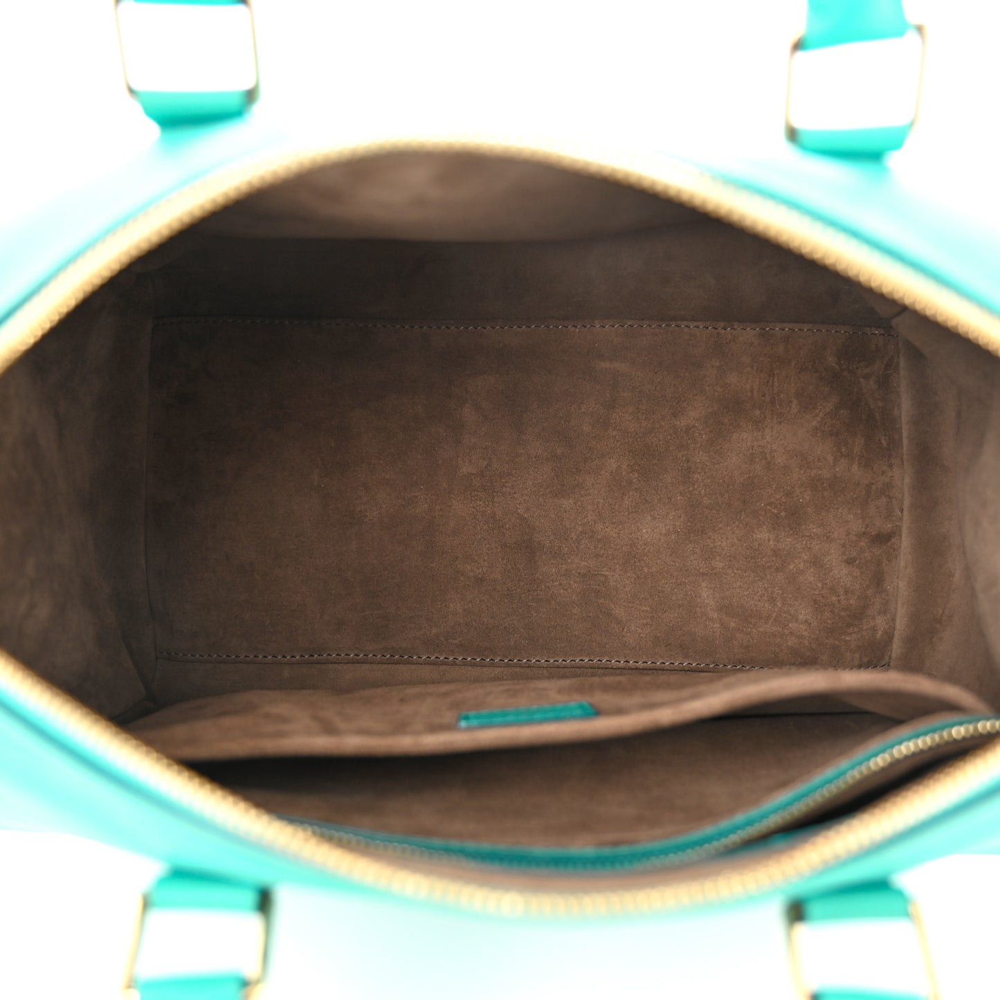 Calfskin Sofia Coppola SC Bag PM Turquoise