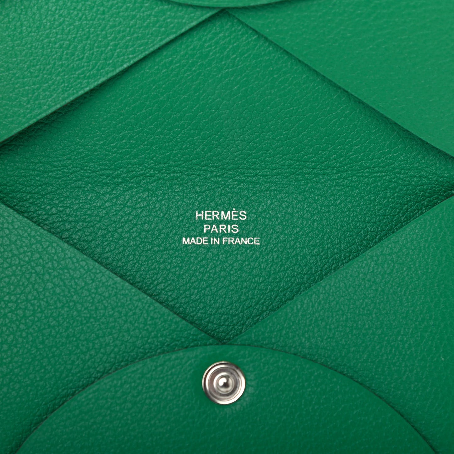 Evercolor Calvi Card Case Vert Vertigo